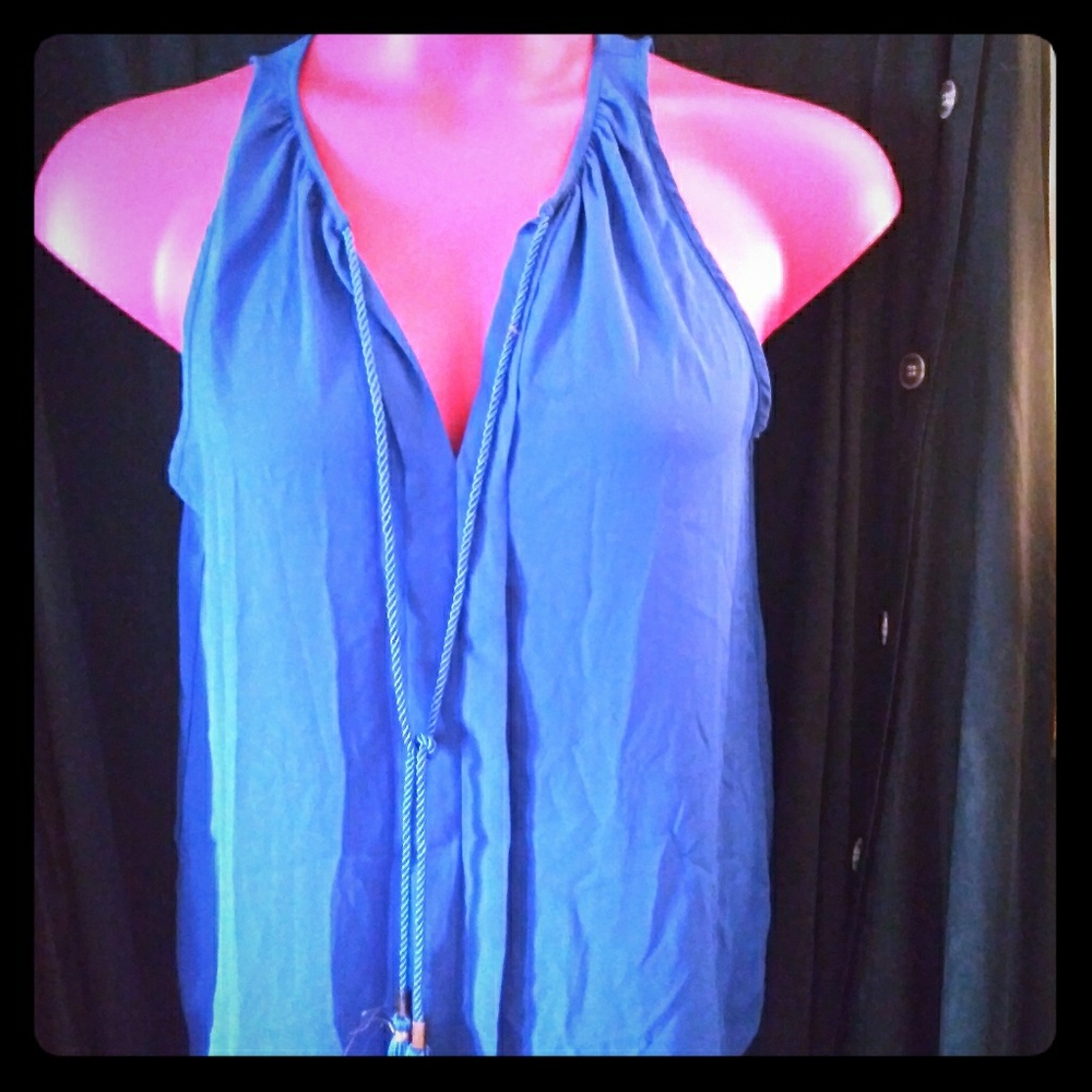 Blue Sheer Blouse